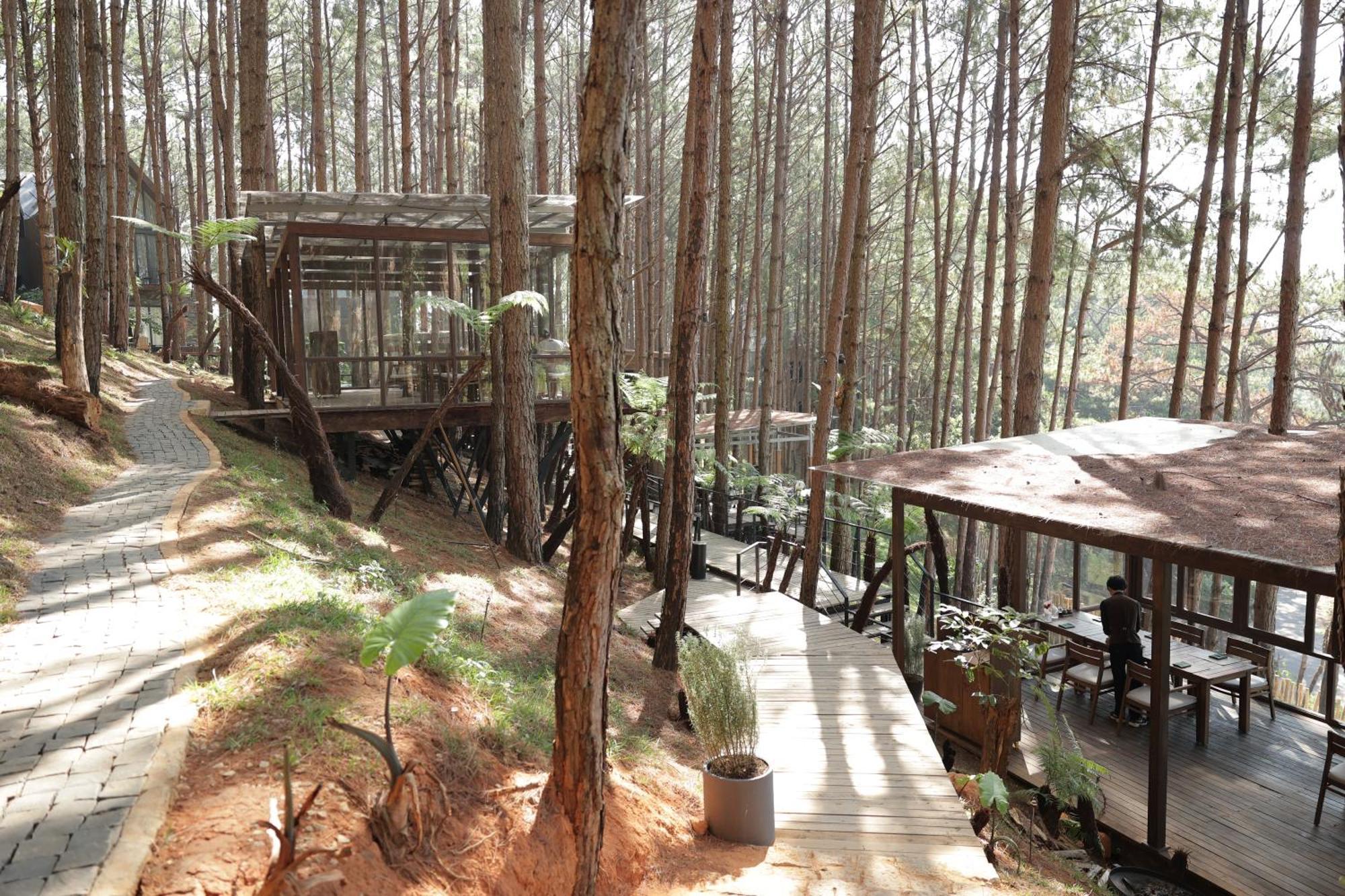 Mo Stay - Forest Resort Da Lat Kültér fotó
