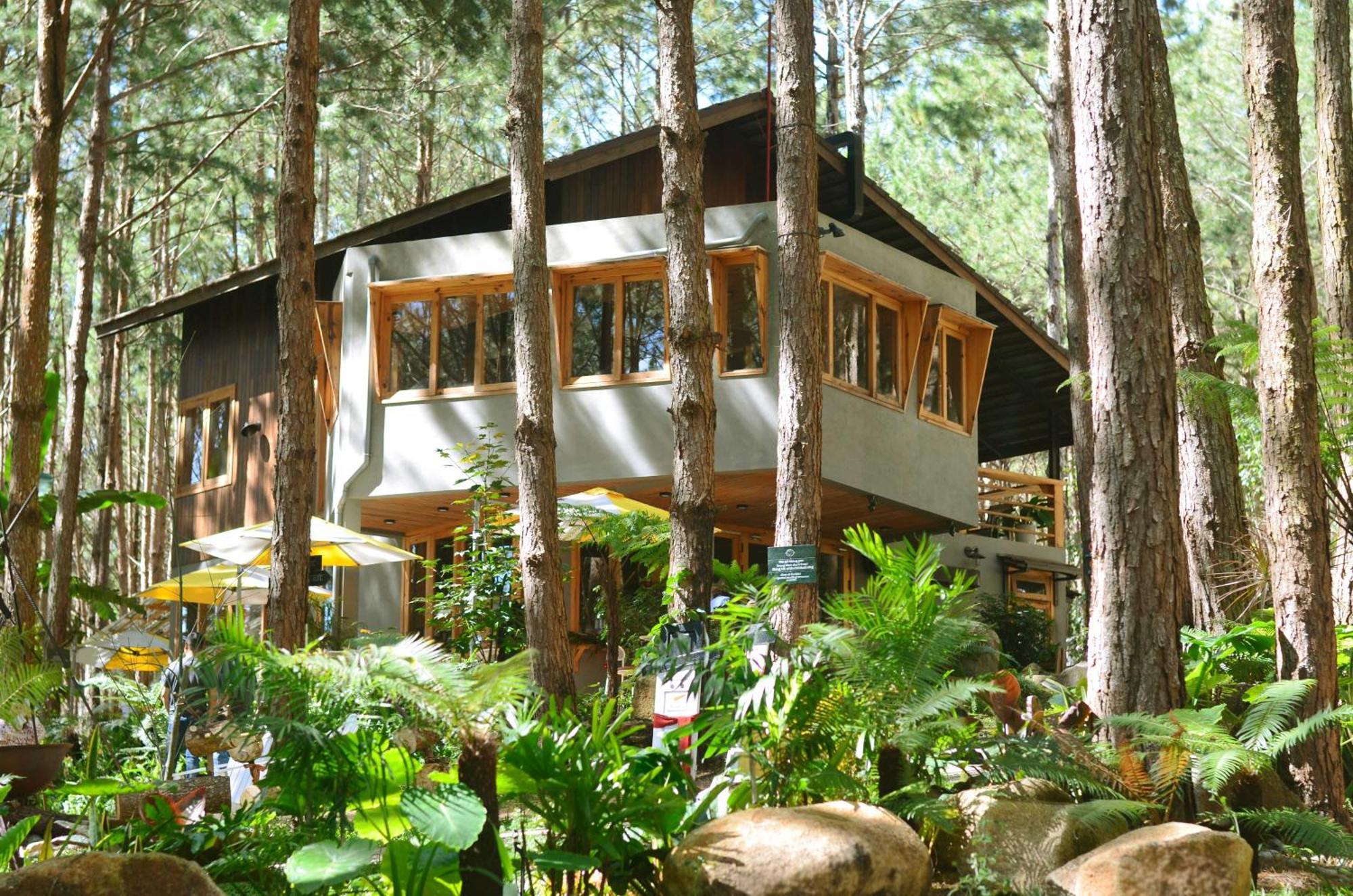 Mo Stay - Forest Resort Da Lat Kültér fotó