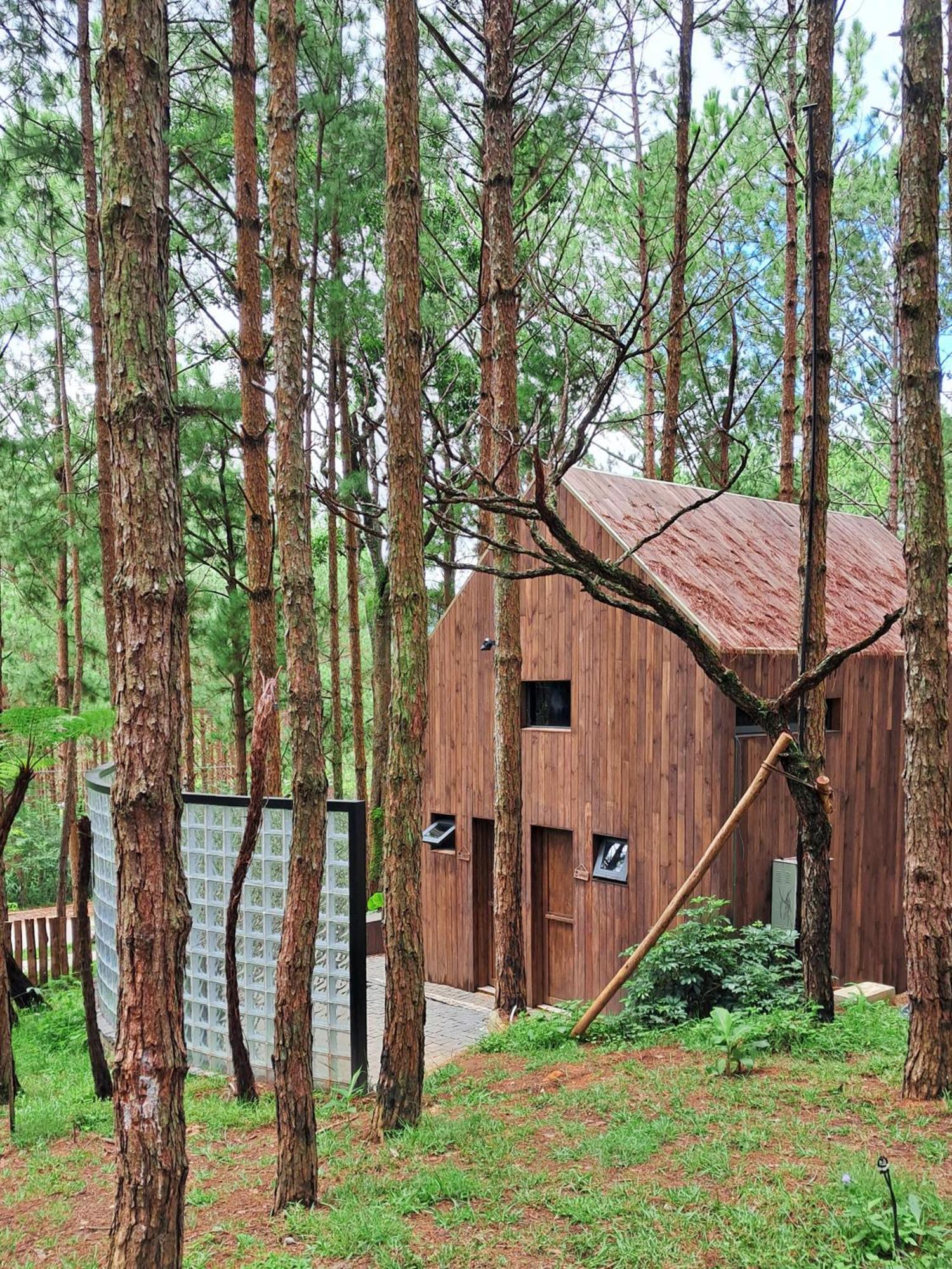 Mo Stay - Forest Resort Da Lat Kültér fotó