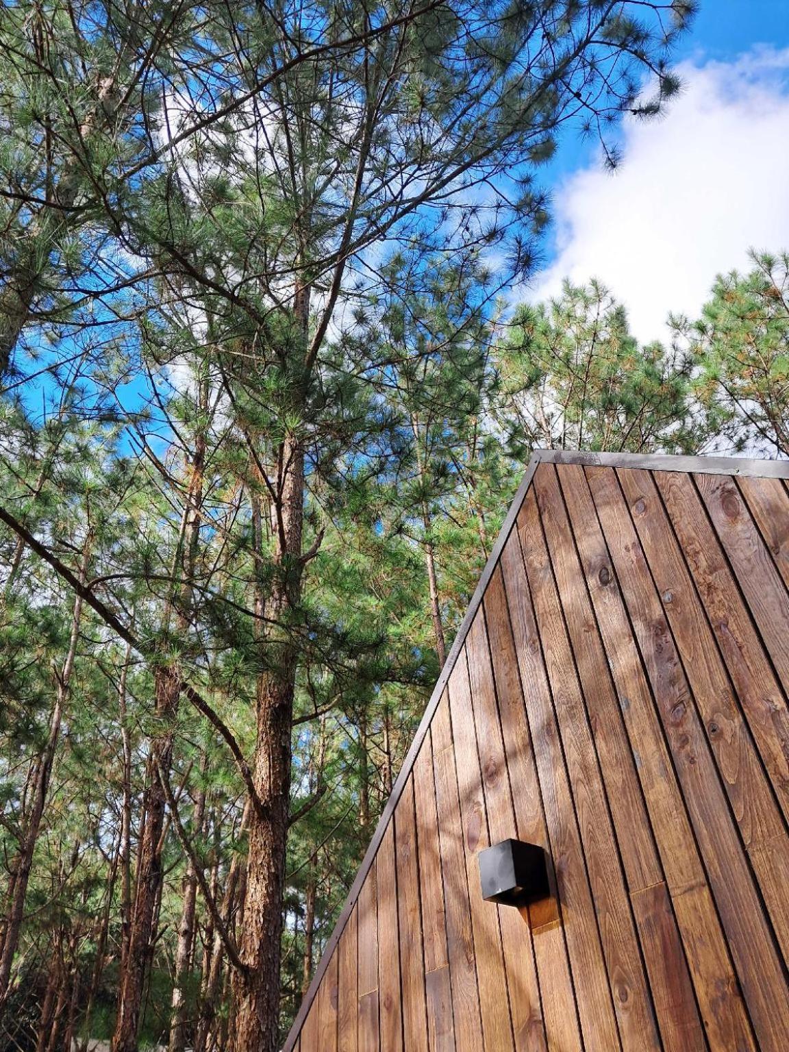 Mo Stay - Forest Resort Da Lat Kültér fotó